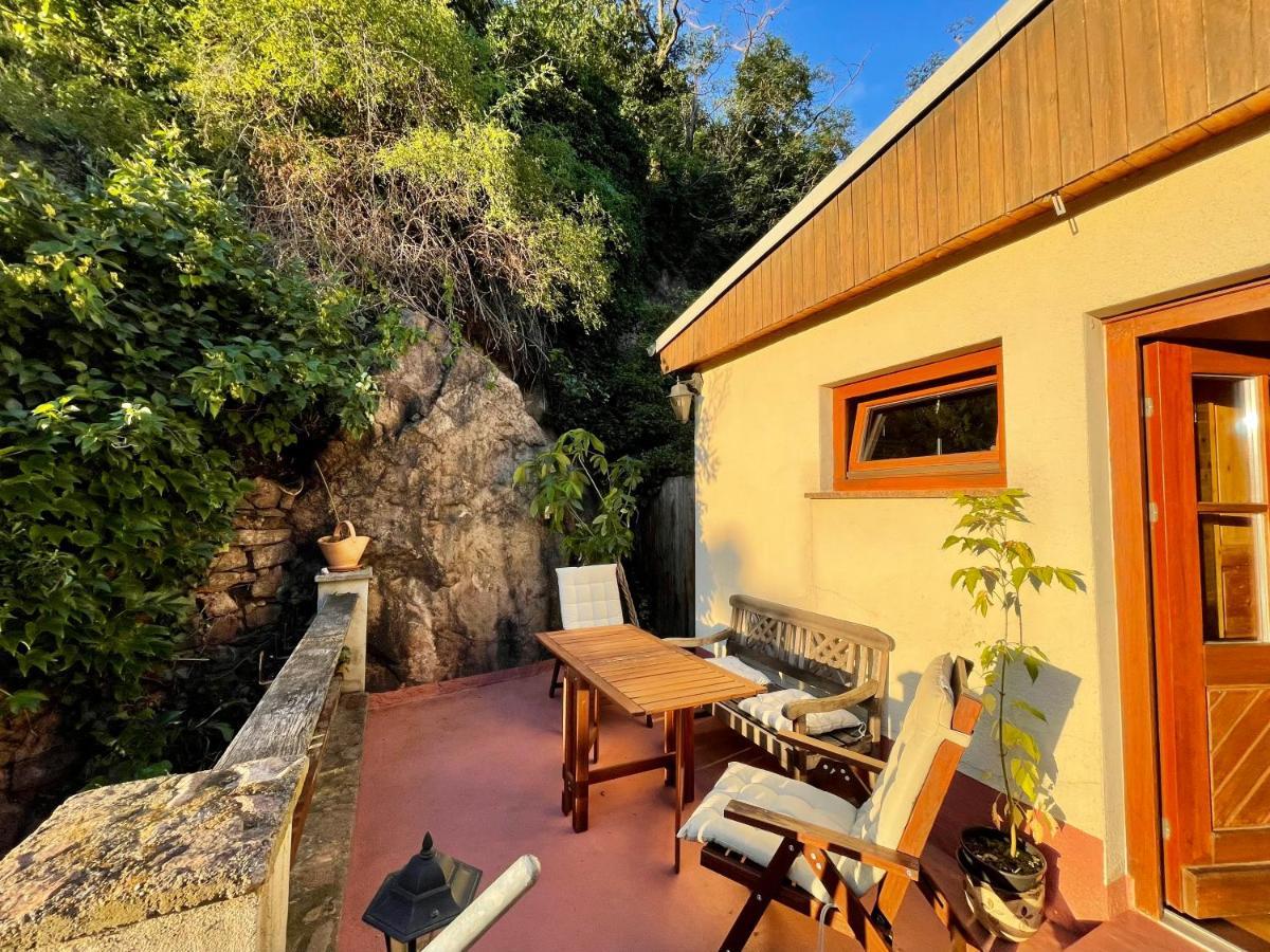 Neue Ferienwohnung Direkt Am Elberadweg Meissen Exterior foto